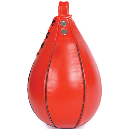 Speed Punching Bags